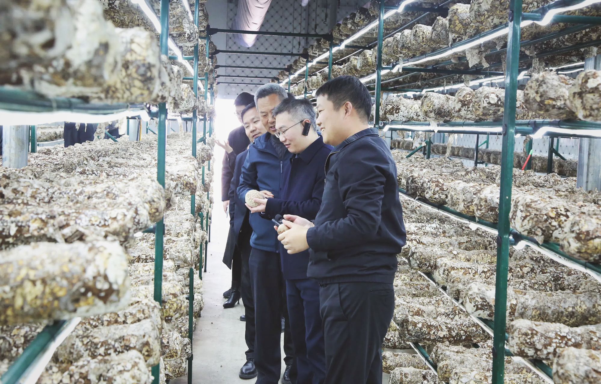 德州市德城區(qū)農(nóng)業(yè)農(nóng)村局領導考察沃克集團智慧菇艙系統(tǒng)